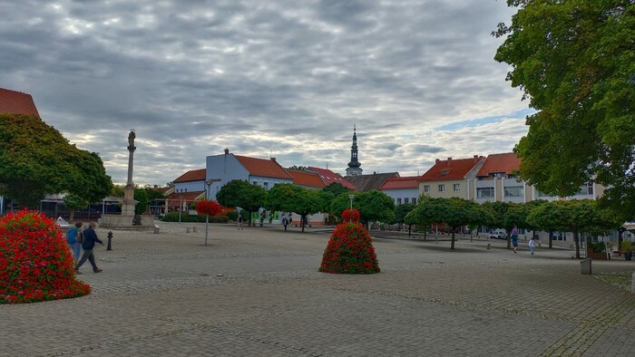 WhatsApp Image 2026-03-13 at 08.44.29 (2).jpeg