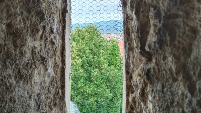 WhatsApp Image 2026-03-13 at 08.44.30 (3).jpeg