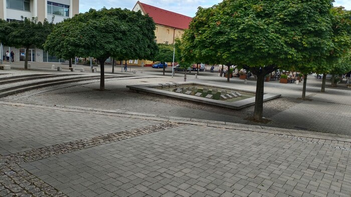 WhatsApp Image 2026-03-13 at 08.44.30 (5).jpeg