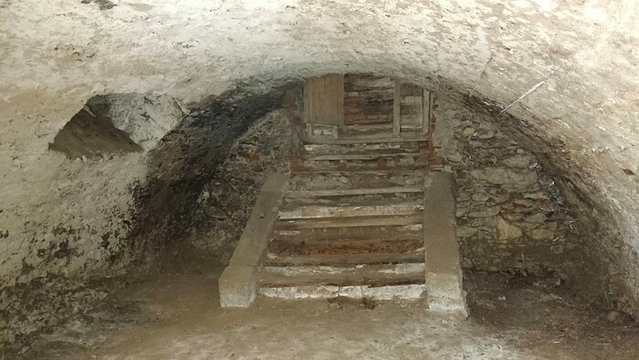 WhatsApp Image 2026-03-13 at 08.44.30 (6).jpeg