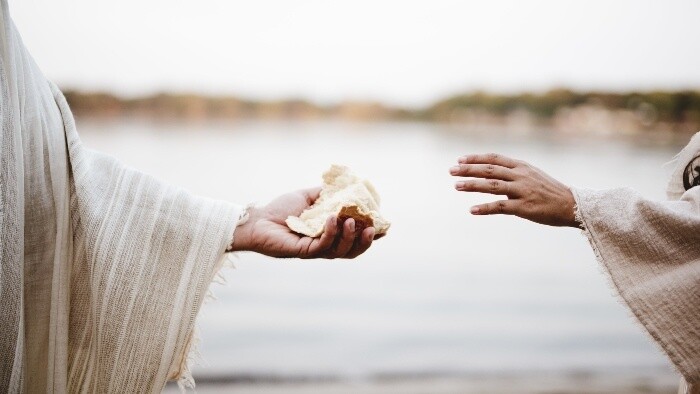 Zamyslenie / Sloboda