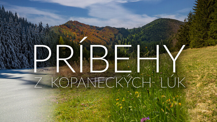 Príbehy z Kopaneckých lúk