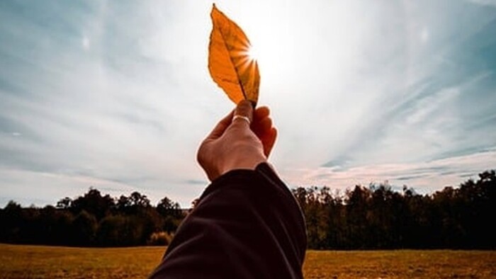 Týždeň hlasov a odkazov