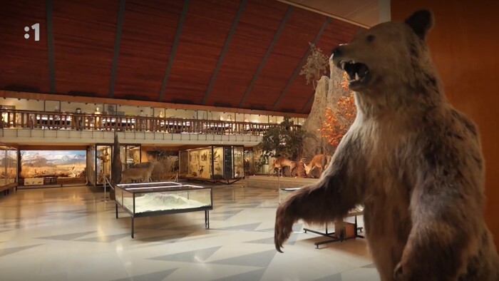 Slovensko v obrazoch