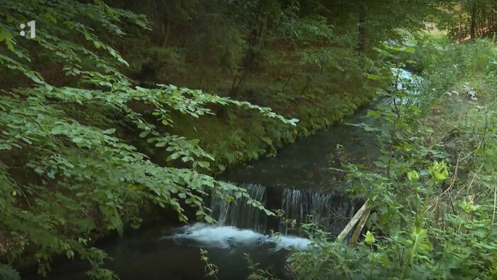 Slovensko v obrazoch