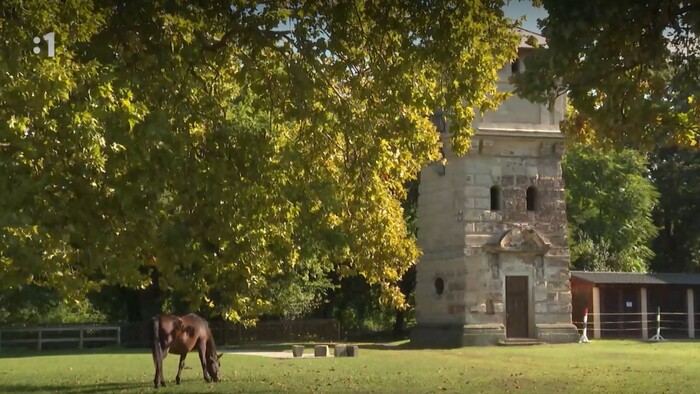 Slovensko v obrazoch
