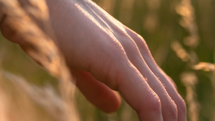 Zamyslenie / Odľahčenie svedomia