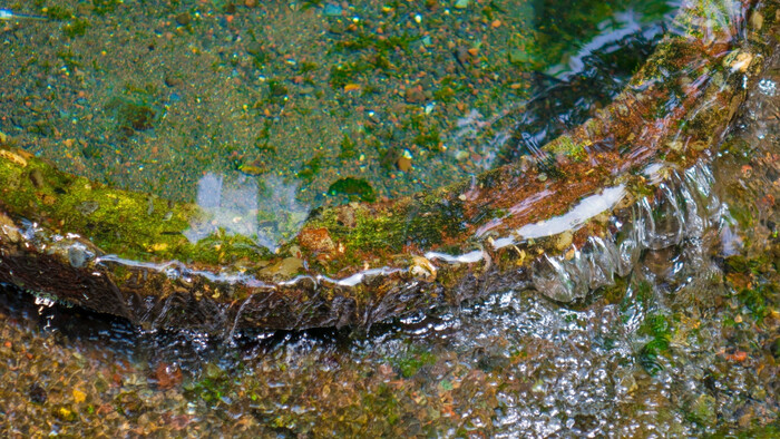 Starostlivosť o studničky