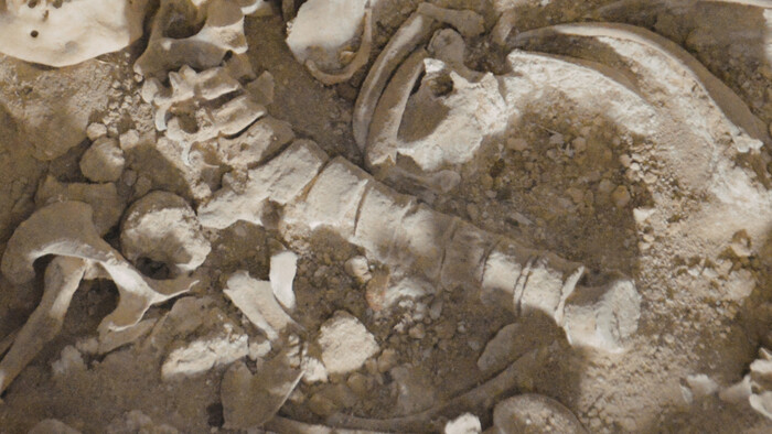 Našli sa pozostatky D´artagnana?