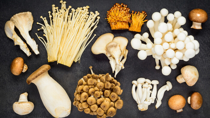 Huby a ich potenciál v priemysle a poľnohospodárstve