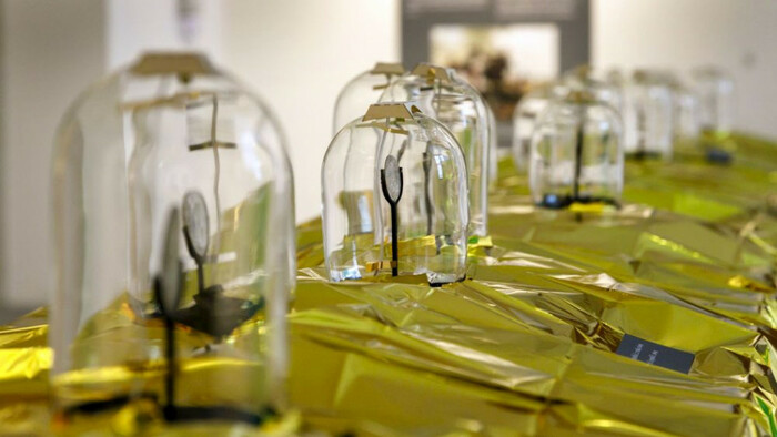 Čo ukrýva poklad z Pinkových Kračian?