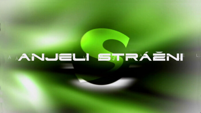 Anjeli strážni Silvie Pastorekovej