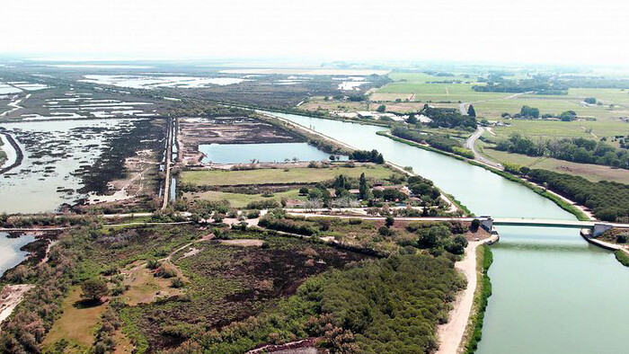 Paradox soli - požehnanie alebo kliatba?