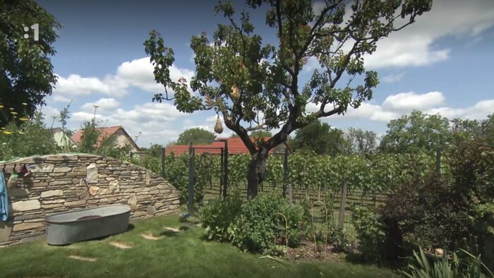 Postav dom, zasaď strom