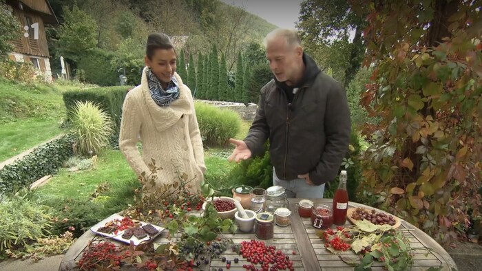 Postav dom, zasaď strom