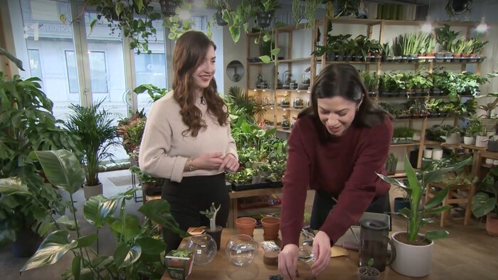 Postav dom, zasaď strom