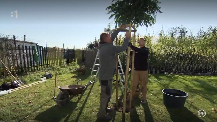 Postav dom, zasaď strom