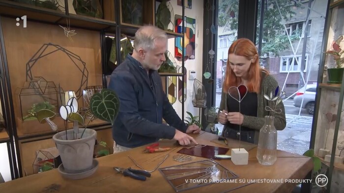 Postav dom, zasaď strom