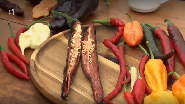 Postav dom, zasaď strom