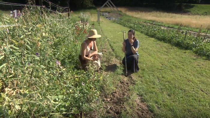 Postav dom, zasaď strom