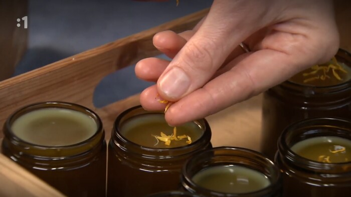 Postav dom, zasaď strom