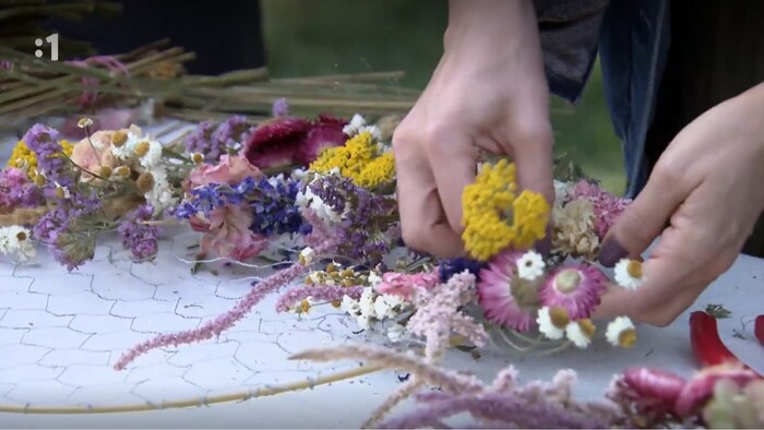 Postav dom, zasaď strom