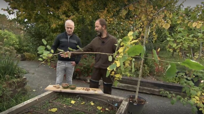 Postav dom, zasaď strom