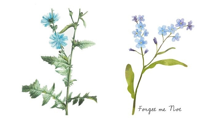 Bola raz jedna povesť na Regine 225. časť