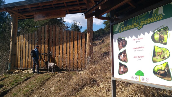 Nad Švošovom na náučnom chodníku a krížovej ceste
