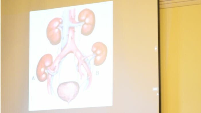 Accès aux traitements modernes contre le cancer du rein: une priorité