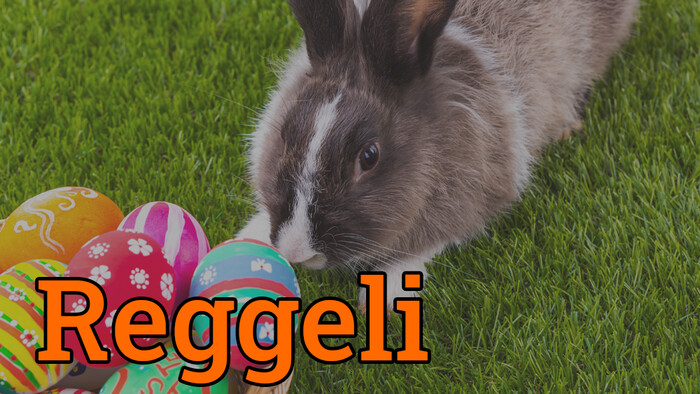 Ne ajándékozzunk Húsvétkor élő kisállatot, figyelmeztet a nyúlmentő