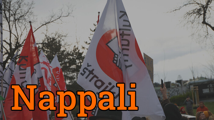 Nagy kulturális mobilizáció: tömegtüntetés Pozsonyban