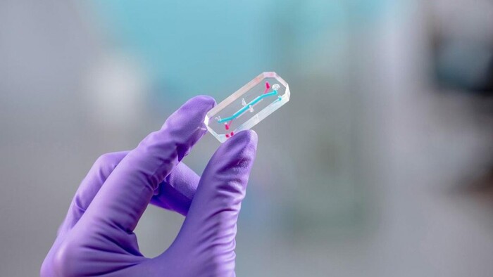 Astronauti si na misiu Artemis II berú vlastné avatary, malé čipy s bunkami z ich tiel. Čo budú skúmať?