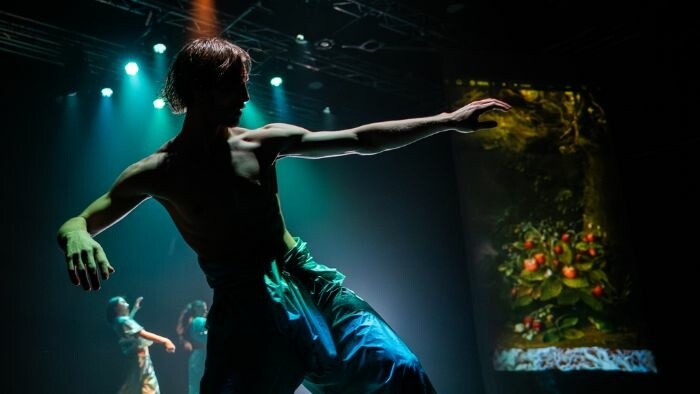 Divadelná recenzia: Divadlo Štúdio tanca: Wild Wild Heart. Štúdia vnútorného pralesa 