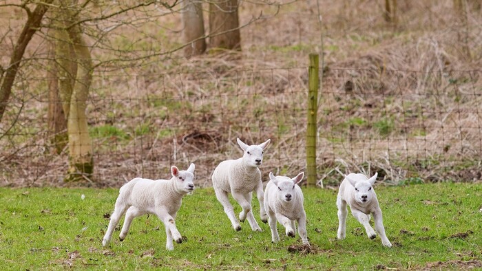 Veľká noc v Taliansku