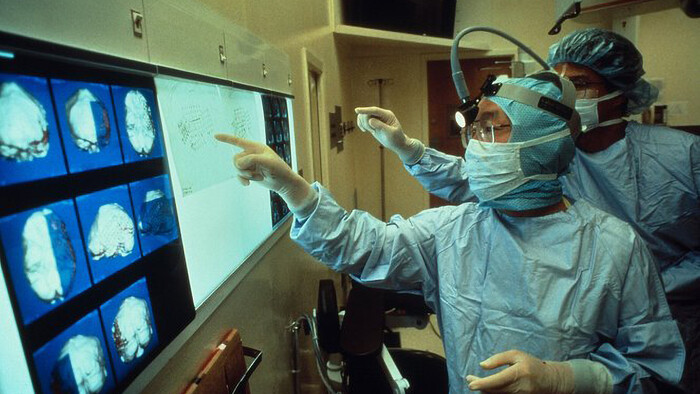 Fascinujúce sociálne siete nášho tela