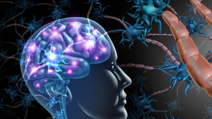 Ako sa mozog učí báť sa