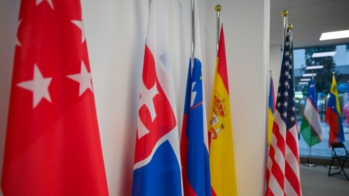 Vláda o medzinárodných organizáciách