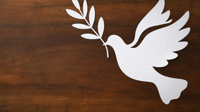 Čína chce hrať mierotvorcu na Blízkom východe, otázky však zostávajú