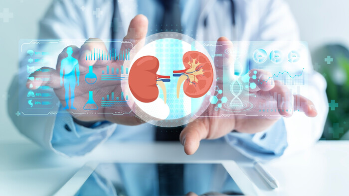 Pomoc pri detoxikácii čriev a obličiek