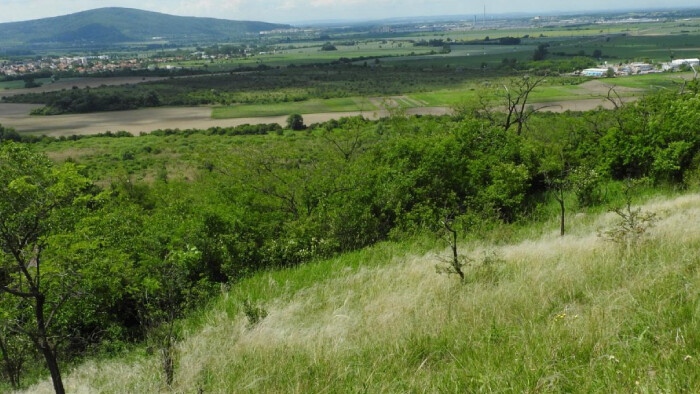Prechádzky a turistika v okolí Stupavy v lokalite Vrchná hora
