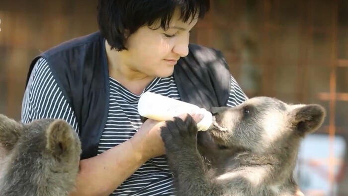 Našli ste mláďa v lese? 