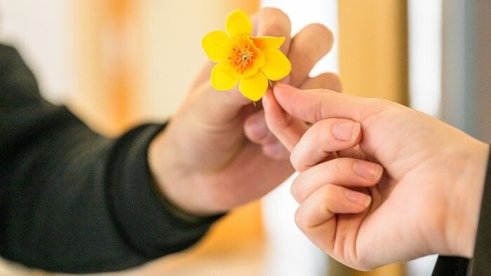 30e édition de la Journée des narcisses