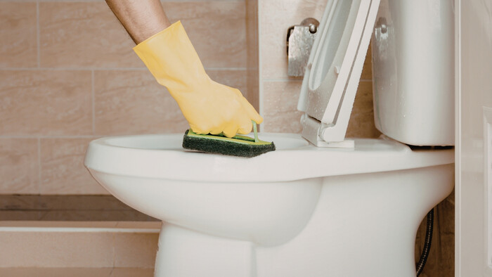 Najväčším zdrojom baktérií nie je toaletná doska 