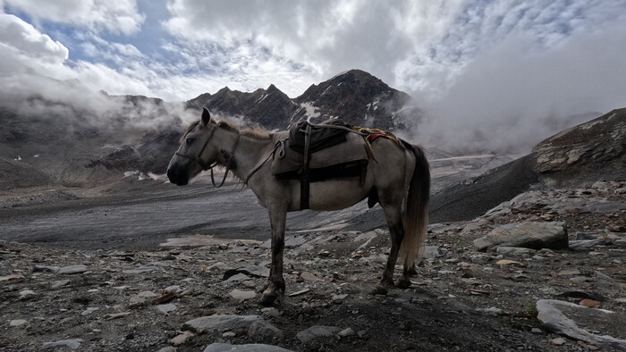 GP011203 – kópia.JPG