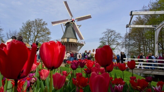 Keukenhof – symbol holandskej jari