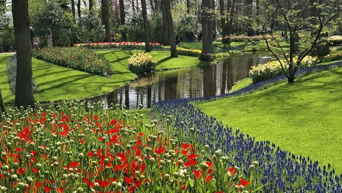 Keukenhof1_KarolinaKucerova.jpeg