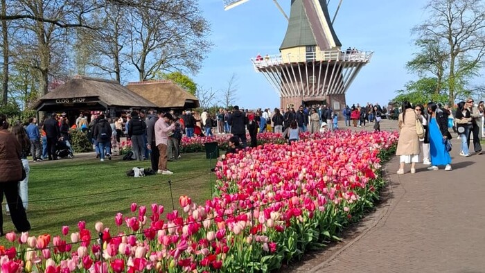 keukenhof4_KarolinaKucerova.jpeg