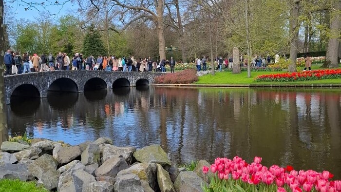 keukenhof5_KarolinaKucerova.jpeg