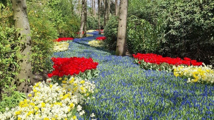 keukenhof6_KarolinaKucerova.jpeg